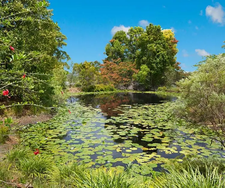 Fourth view of Homely rural property listing, 35 Brahman Way, North Casino NSW 2470