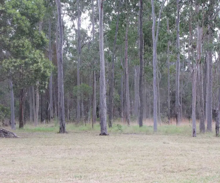 Third view of Homely rural property listing, 1684 Old Tenterfield Rd, Kippenduff NSW 2469