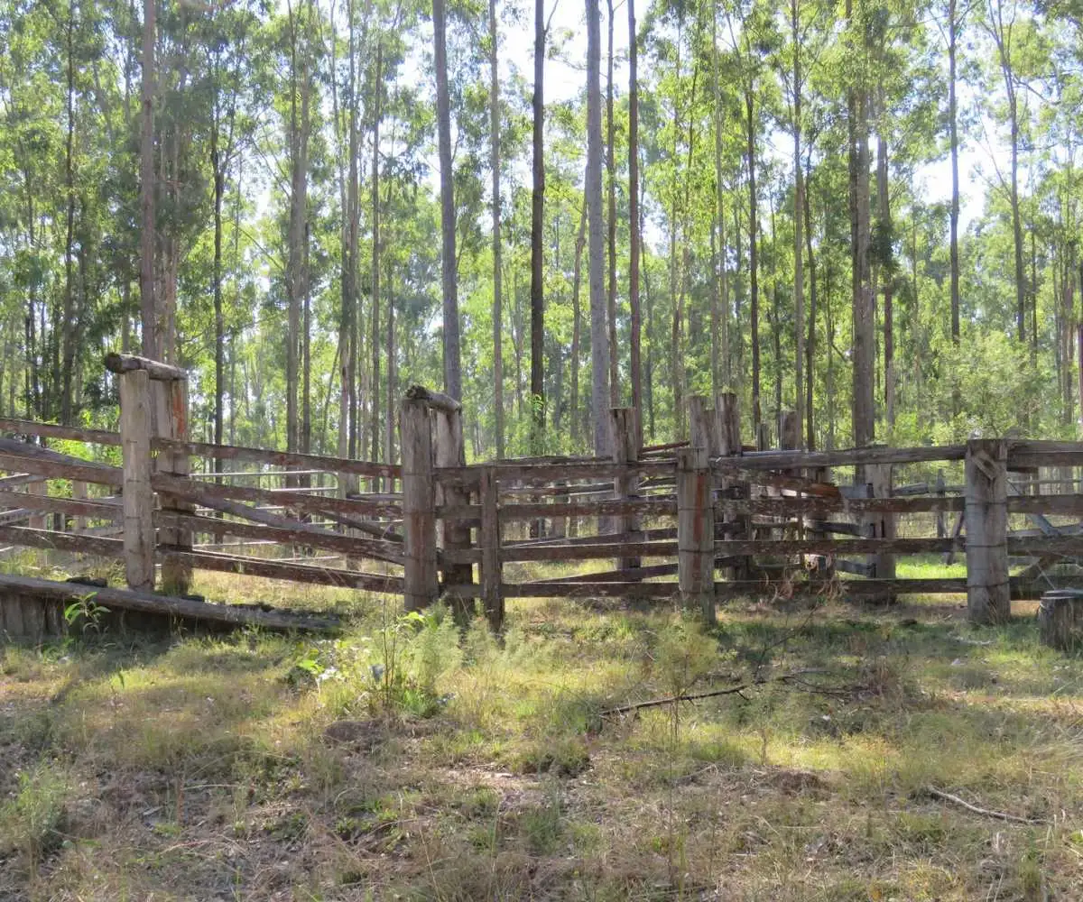 Main view of Homely rural property listing, Lots 24 & 27 Deadman Creek Road, Tabulam NSW 2469
