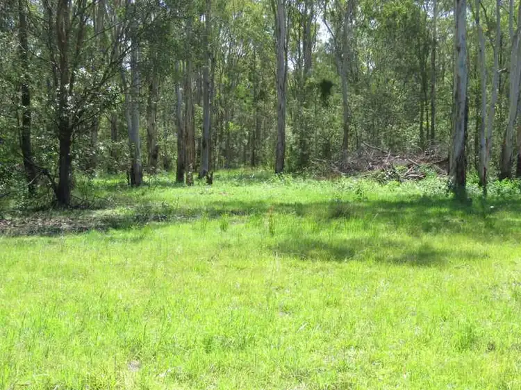 Main view of Homely rural property listing, 10 Elliots Road, Myrtle Creek NSW 2469