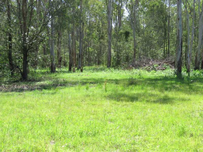 Main view of Homely rural property listing, 10 Elliots Road, Myrtle Creek NSW 2469