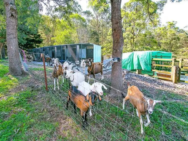 Sixth view of Homely house listing, 616 Nerang-Murwillumbah Road, Advancetown QLD 4211