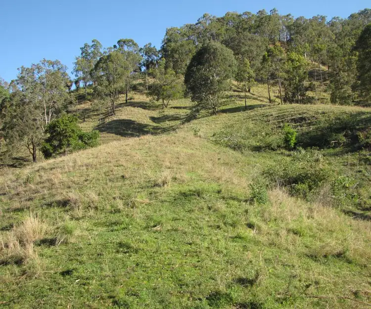 Fourth view of Homely rural property listing, - Muller Roseberry Creek Road, Roseberry Creek NSW 2474