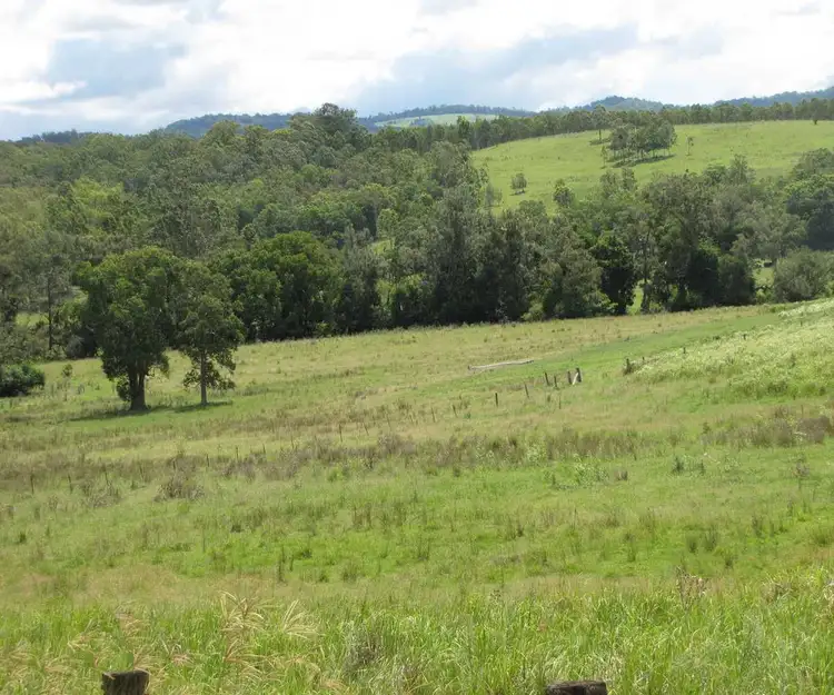 Main view of Homely rural property listing, 975 Dyraaba Rd, Dyraaba NSW 2470