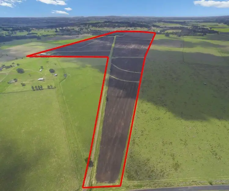 Second view of Homely rural property listing, 124 Tatham Road, Mckees Hill NSW 2480