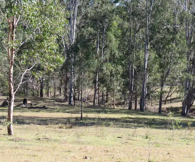 Third view of Homely rural property listing, Lot 213 Bruxner Highway, Tabulam NSW 2469