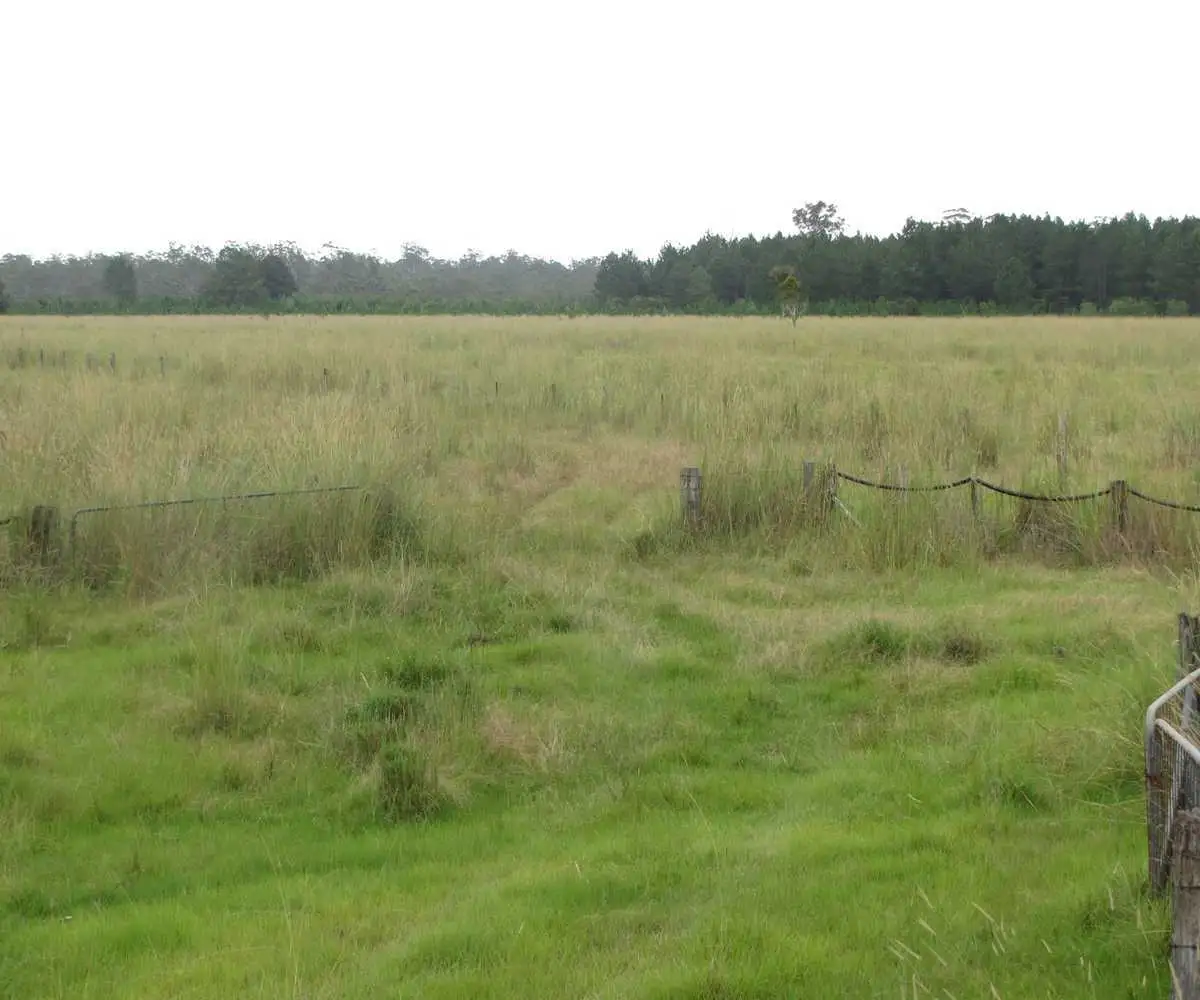 Main view of Homely rural property listing, Whiporie Road, Whiporie NSW 2469