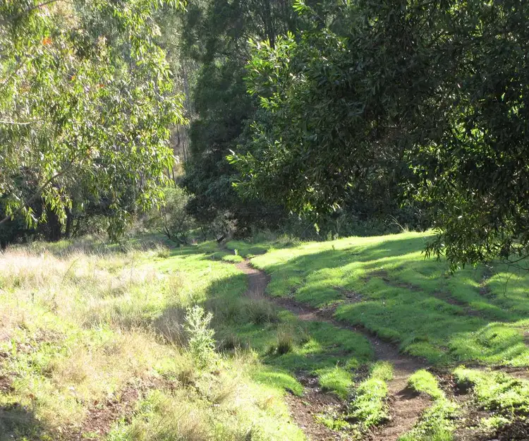 Third view of Homely rural property listing, - Muller Roseberry Creek Road, Roseberry Creek NSW 2474
