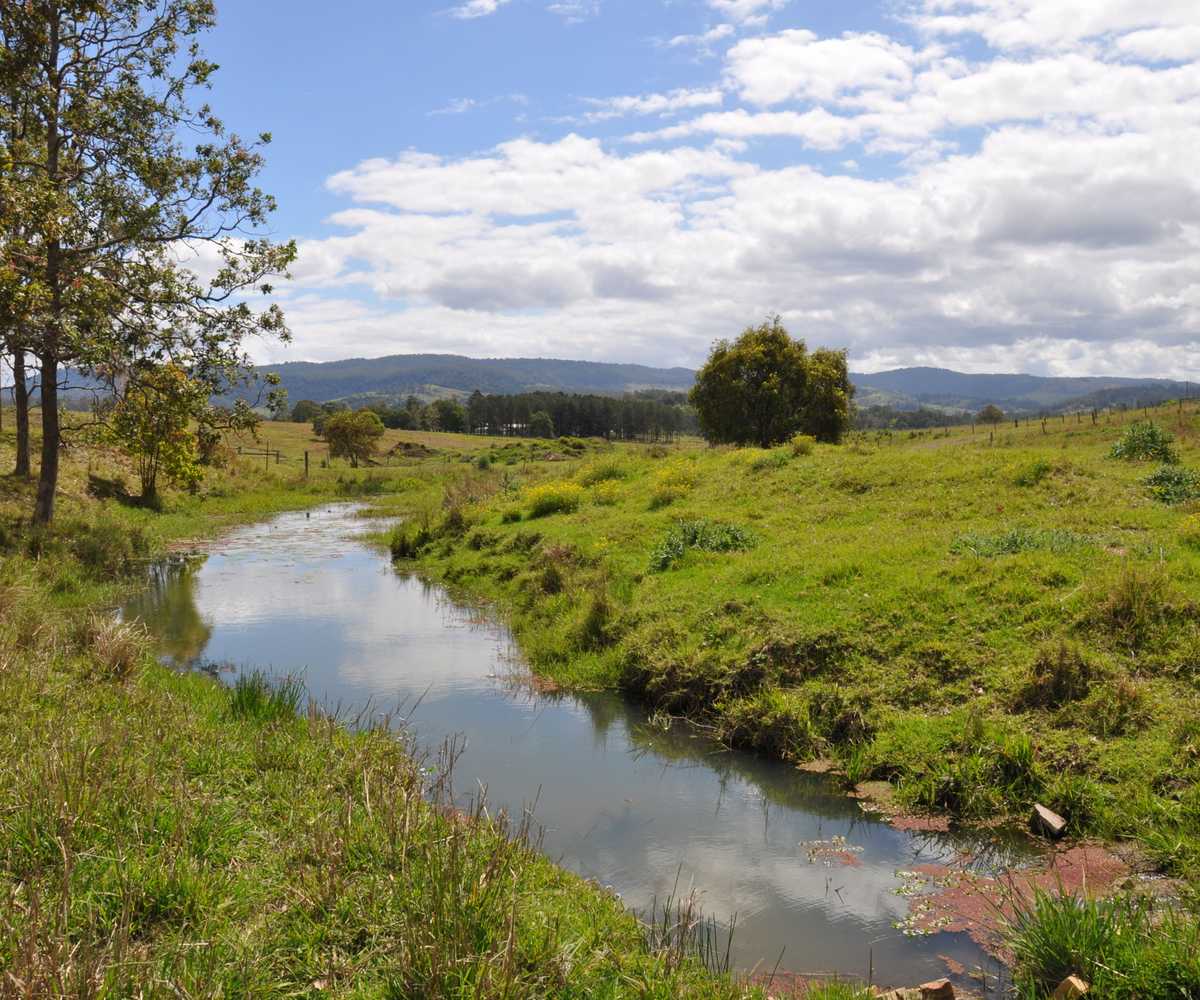 Main view of Homely rural property listing, 64 Nicholls Rd, Mummulgum NSW 2469
