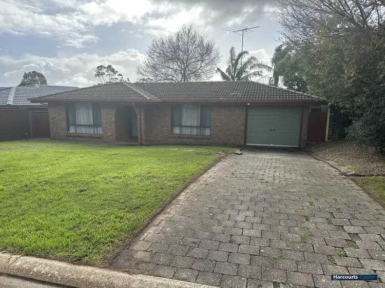 9 Nilpena Court