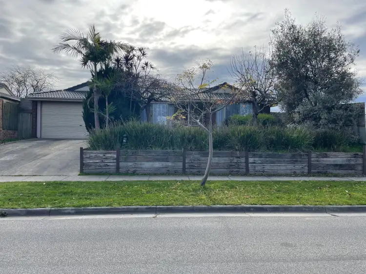 Main view of Homely house listing, 48 Hoysted Avenue, Cranbourne North VIC 3977