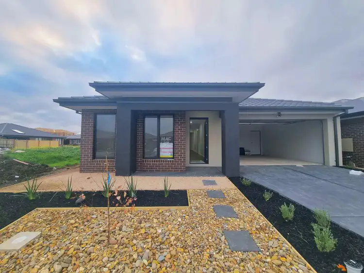 6 Newmarket Street