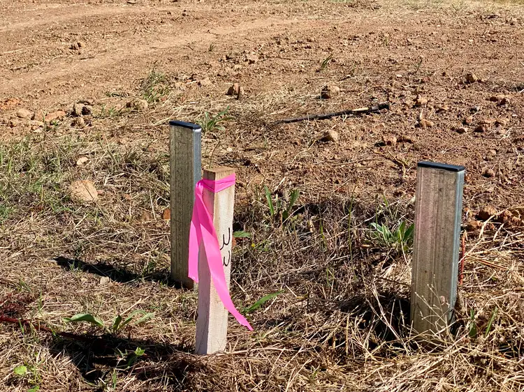 Main view of Homely land listing, Lot 41 Cnr Dawson St and Frew Crt, Hamilton Valley NSW 2641