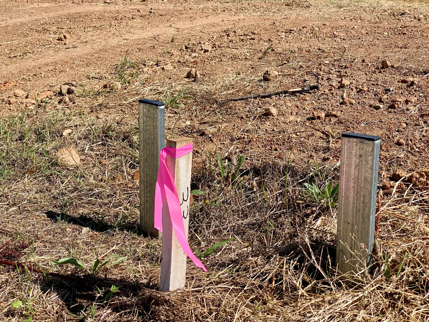 Main view of Homely land listing, Lot 41 Cnr Dawson St and Frew Crt, Hamilton Valley NSW 2641