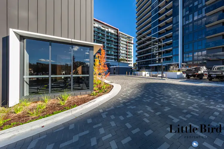 Second view of Homely apartment listing, 18/9 Irving St, Phillip ACT 2606