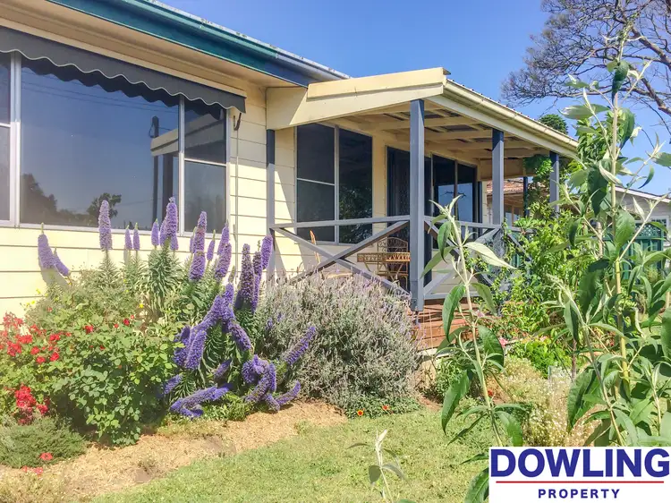Fifth view of Homely house listing, 21 Kirkton Crescent, Woodberry NSW 2322