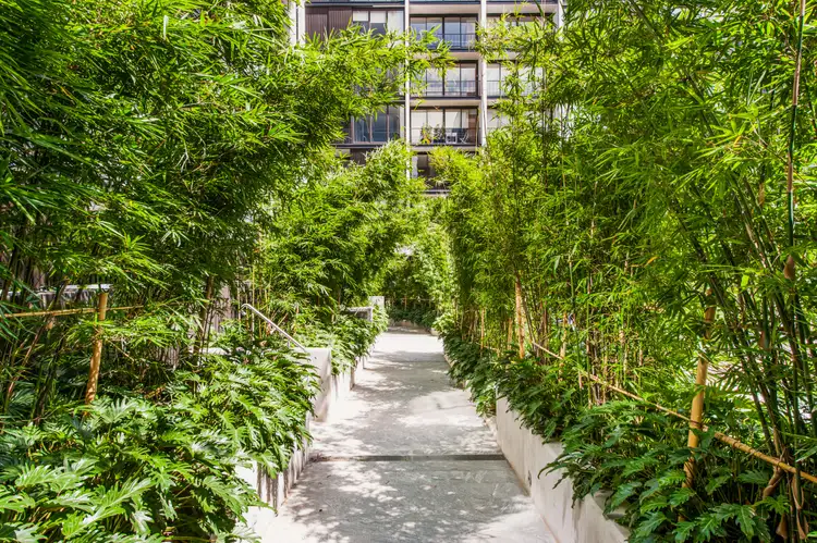 Sixth view of Homely apartment listing, 302/21 Dunkerley Place, Waterloo NSW 2017