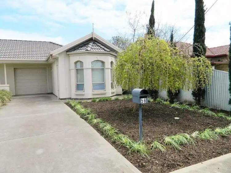 56 La Perouse Avenue, Flinders Park SA 5025