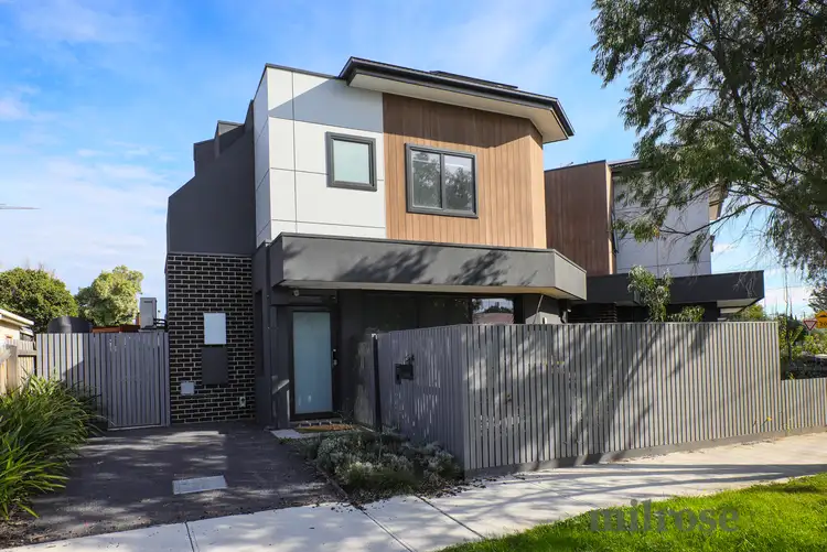 33A Hutchison Street