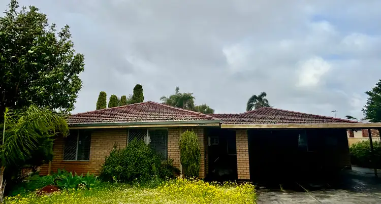 Main view of Homely unit listing, unit 1/8 Kensington, Dianella WA 6059