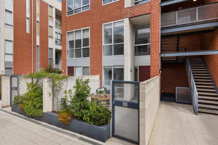 Apt 15 / 237 Wakefield Street