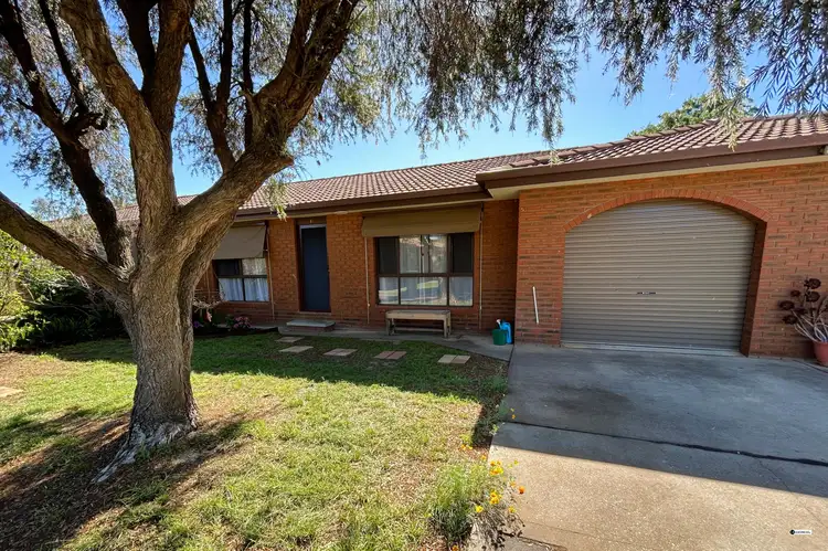 13/595 Webb Street, Lavington NSW 2641