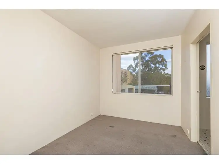Third view of Homely unit listing, 16/8 Wilkins Street, Mawson ACT 2607