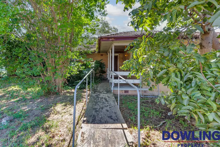 Second view of Homely house listing, 14 Sophia Jane Avenue, Woodberry NSW 2322