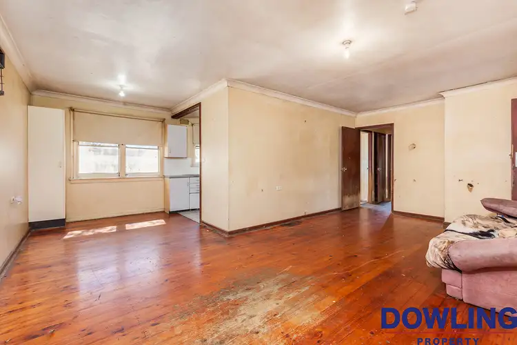 Fourth view of Homely house listing, 14 Sophia Jane Avenue, Woodberry NSW 2322