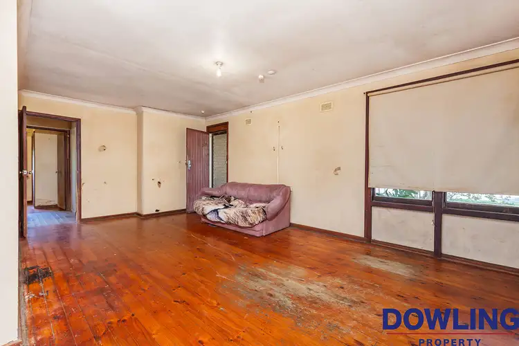 Fifth view of Homely house listing, 14 Sophia Jane Avenue, Woodberry NSW 2322