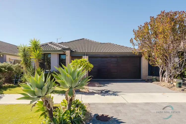 16 Paludosa Link, Banksia Grove WA 6031