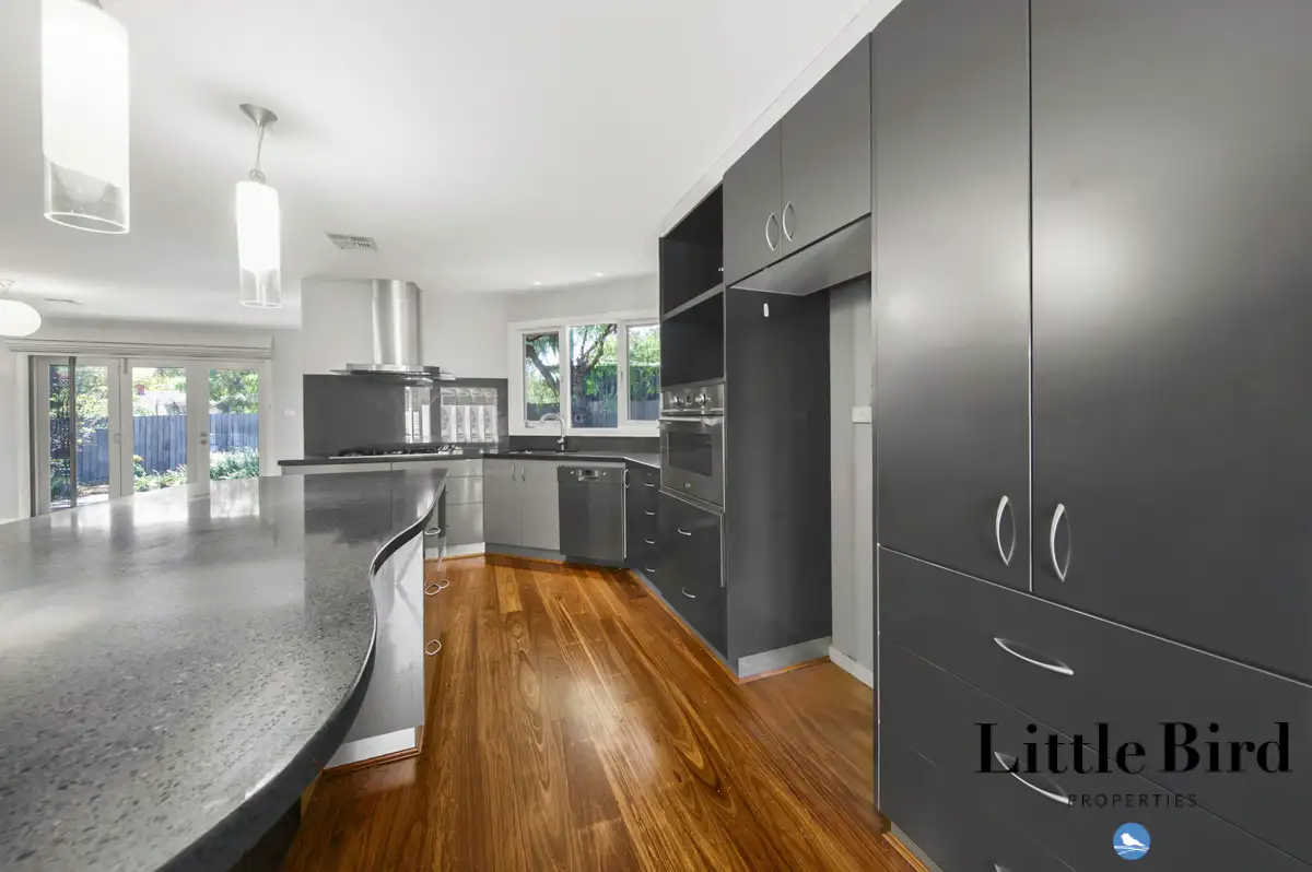 Main view of Homely house listing, 16B Calvert Street, Ainslie ACT 2602