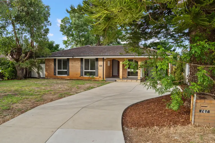 Main view of Homely house listing, 161 Third Avenue, Kelmscott WA 6111