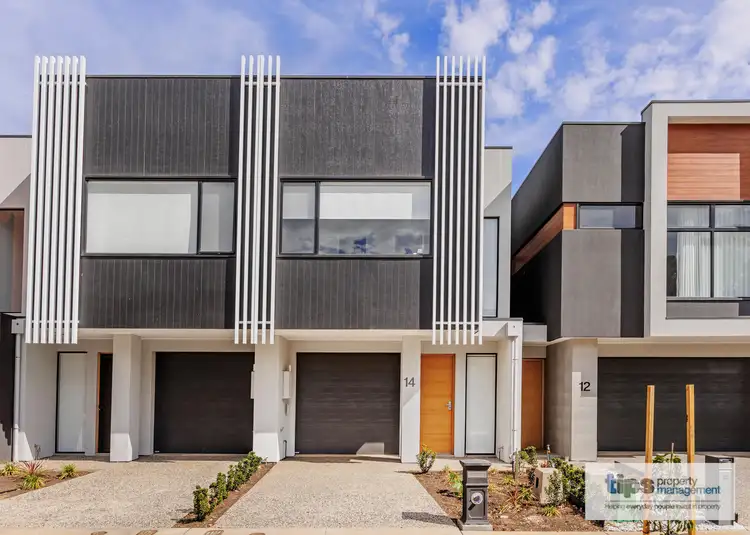 Main view of Homely house listing, 14 Lyle Court, Woodville SA 5011