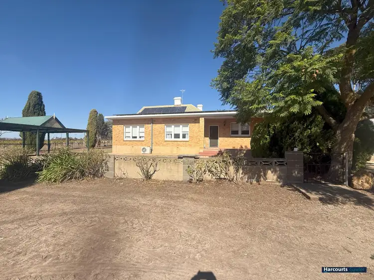 Main view of Homely house listing, 227 Schulz Road, Ebenezer SA 5355