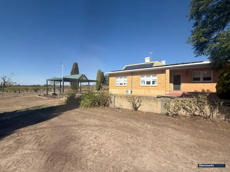 Second view of Homely house listing, 227 Schulz Road, Ebenezer SA 5355
