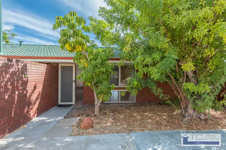 Main view of Homely house listing, 4 Arawa Place, Craigie WA 6025