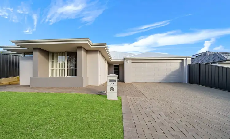 37 Fishbone Turn, Banksia Grove WA 6031