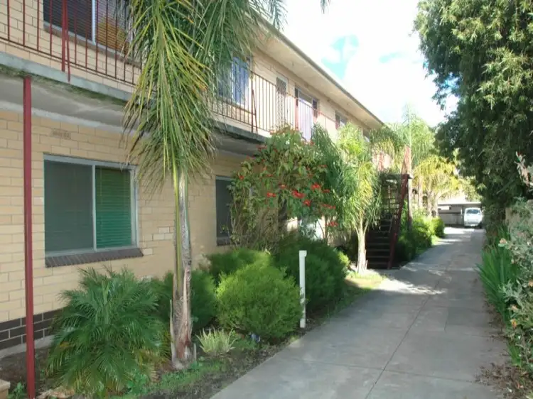 8/33 Everard Avenue, Ashford SA 5035
