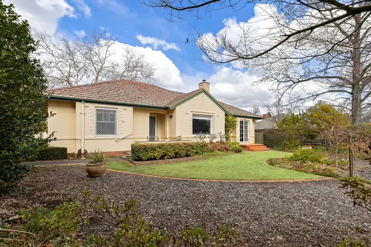 6A Chisholm St, Ainslie ACT 2602
