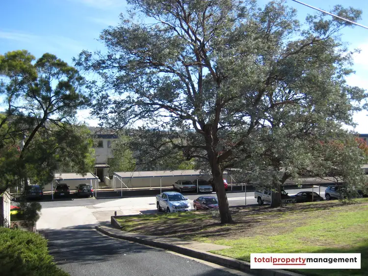 Third view of Homely apartment listing, 3/4 Wilkins Street, Mawson ACT 2607