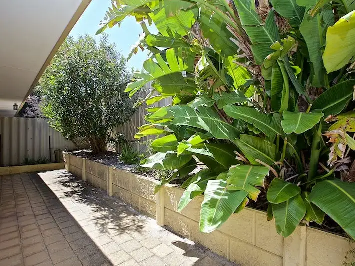 Second view of Homely unit listing, 5/83 Barbican Street, Shelley WA 6148