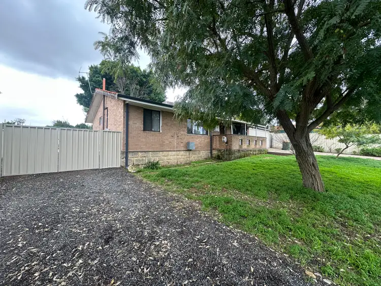Main view of Homely house listing, 19 Casserley Way, Orelia WA 6167