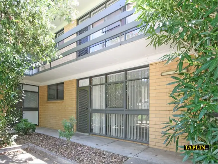 5/88 Sussex Street, North Adelaide SA 5006