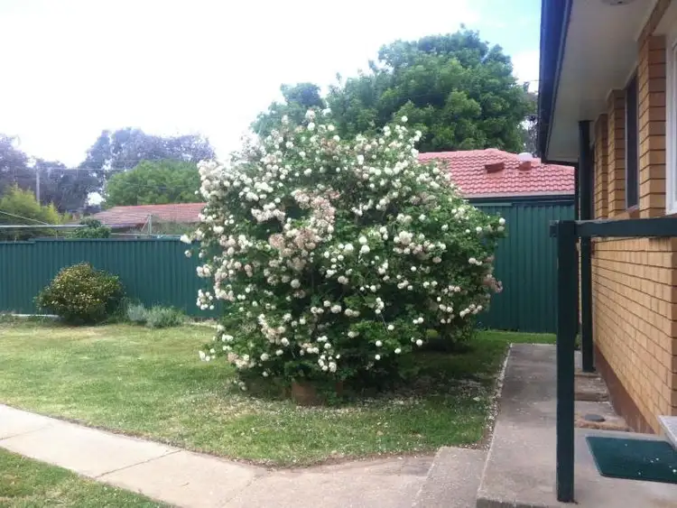 Second view of Homely house listing, 4 Petterd Street, Page ACT 2614