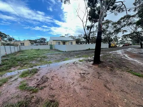 113 Angove Street, Norseman WA 6443