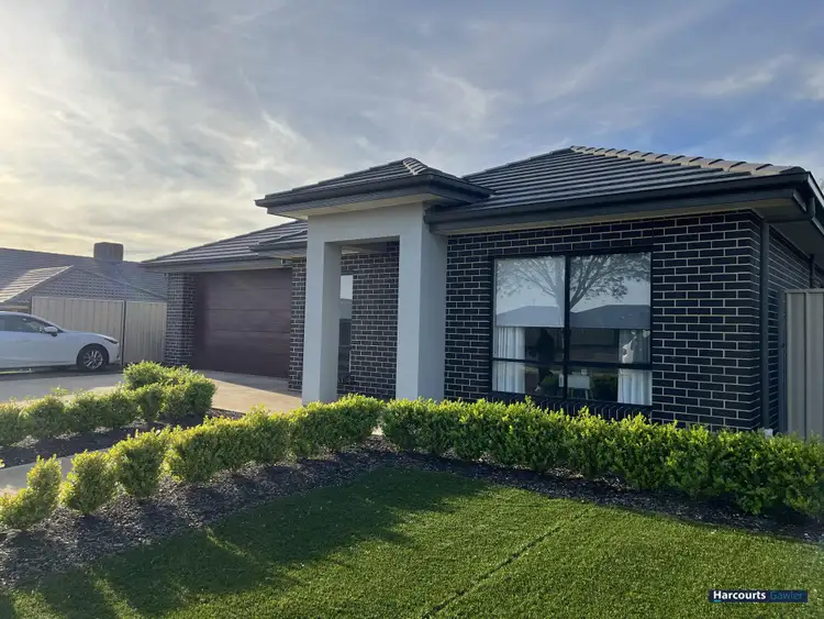 Main view of Homely house listing, 41 Pedler Blvd, Freeling SA 5372