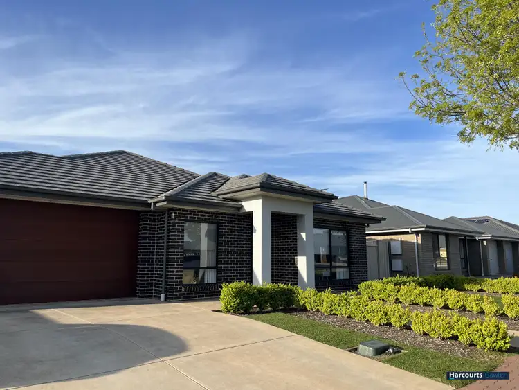 Second view of Homely house listing, 41 Pedler Blvd, Freeling SA 5372