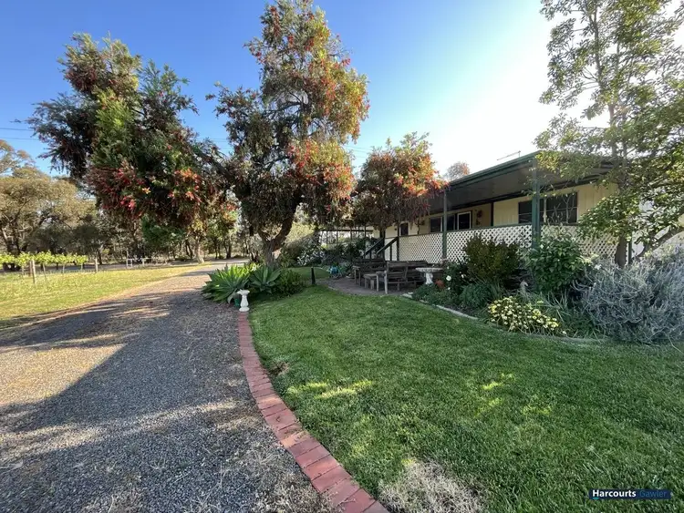 216 Seppeltsfield Road, Nuriootpa SA 5355