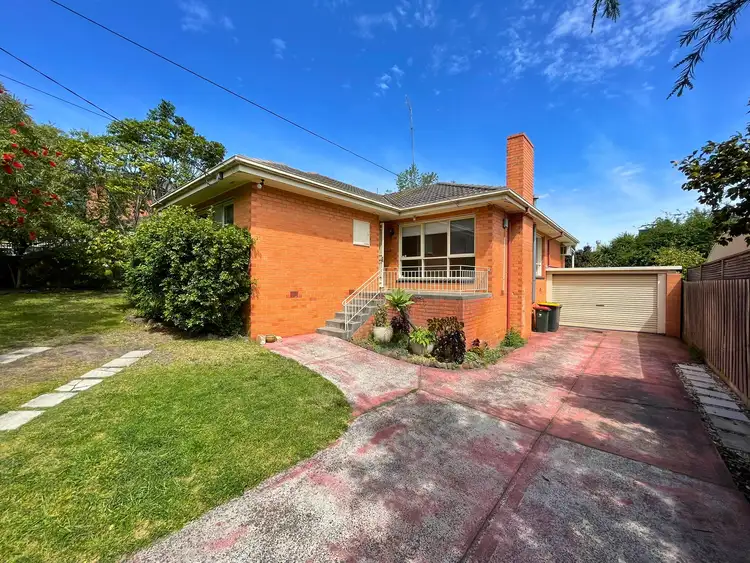 3 Cassinia Avenue, Ashwood VIC 3147